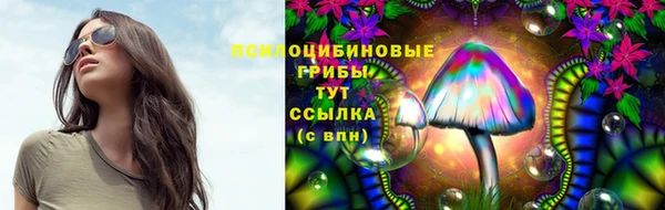гашик Нея