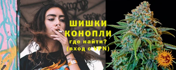 гашик Нея