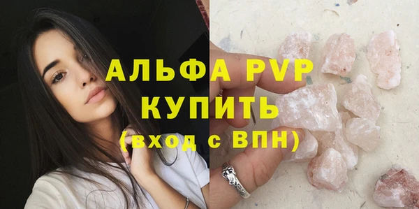 стаф Новодвинск