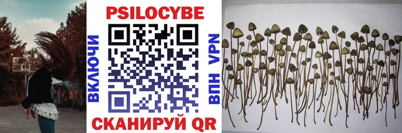 Галлюциногенные грибы Psilocybe  мориарти как зайти  Собинка 